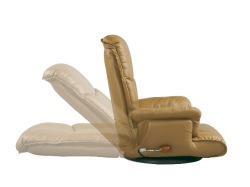 YS-1392A-reclin